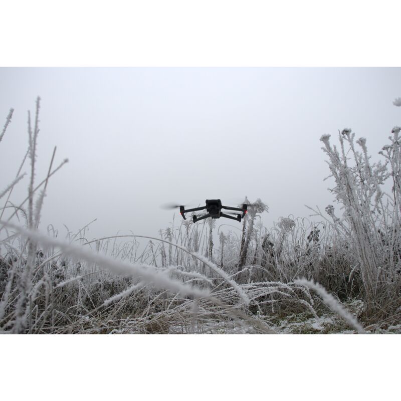 Cover: Ich und mein titel